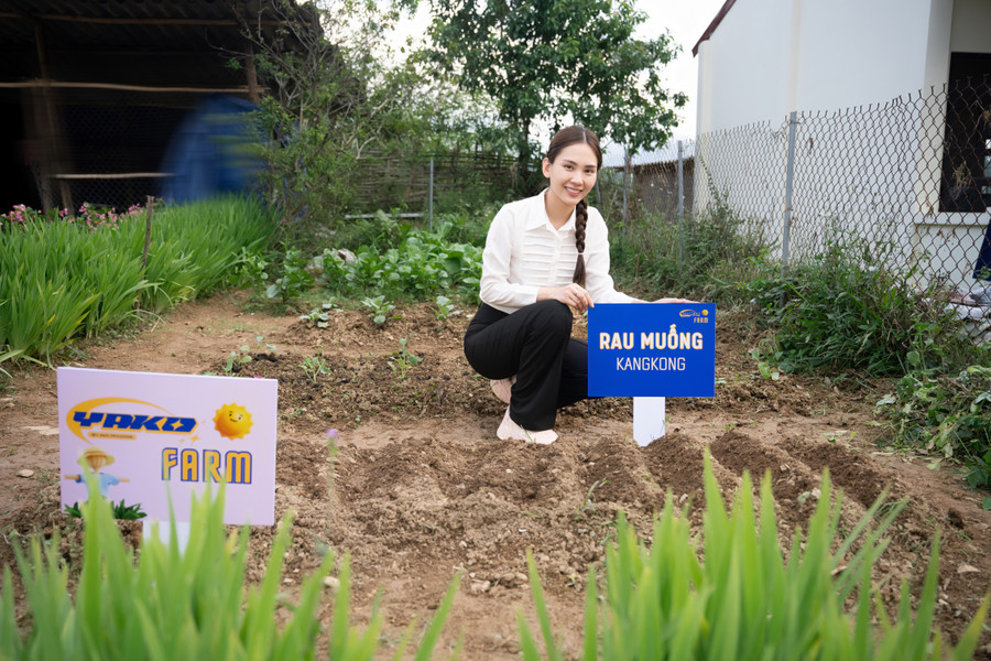 Nàng Hậu cho biết: “Yako Farm là ý tưởng nhân ái không chỉ hỗ trợ cho các vùng nông thôn khó khăn mà tôi sẽ cố gắng phát triển nó ngay cả trong thành thị. Tùy vào địa điểm, Yako Farm có thể sẽ trồng rau củ hoặc nuôi gia súc, gia cầm. Nàng Hậu cho biết: “Yako Farm là ý tưởng nhân ái không chỉ hỗ trợ cho các vùng nông thôn khó khăn mà tôi sẽ cố gắng phát triển nó ngay cả trong thành thị. Tùy vào địa điểm, Yako Farm có thể sẽ trồng rau củ hoặc nuôi gia súc, gia cầm.