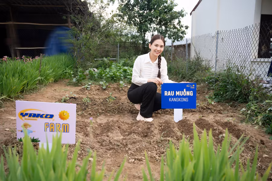 Nàng Hậu cho biết: “Yako Farm là ý tưởng nhân ái không chỉ hỗ trợ cho các vùng nông thôn khó khăn mà tôi sẽ cố gắng phát triển nó ngay cả trong thành thị. Tùy vào địa điểm, Yako Farm có thể sẽ trồng rau củ hoặc nuôi gia súc, gia cầm.