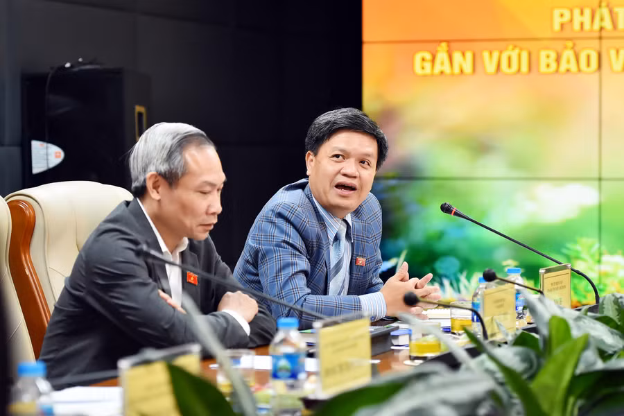 Phó Chủ nhiệm Ủy ban Khoa học Công nghệ và Môi trường Tạ Đình Thi phát biểu. Ảnh: Trần Hiệp.