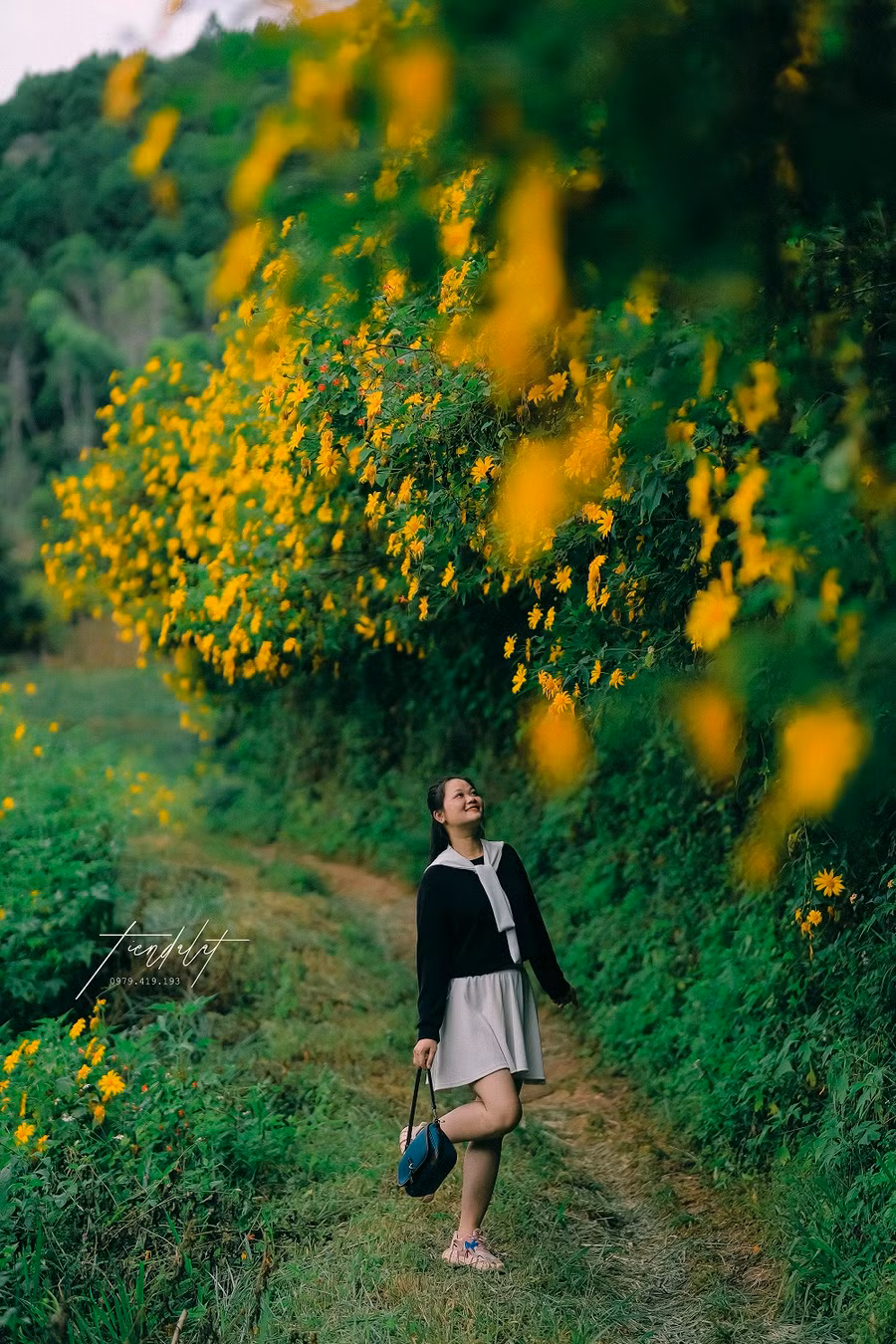 Để có những tấm ảnh đẹp với hoa dã quỳ, mọi người nên chuẩn bị trang phục nhẹ nhàng. Ảnh: Tiến Đà Lạt.