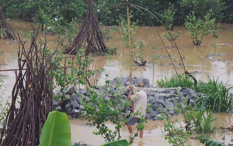 nhung hinh anh bi hai sau tran mua lon ngap ha noi hinh 9