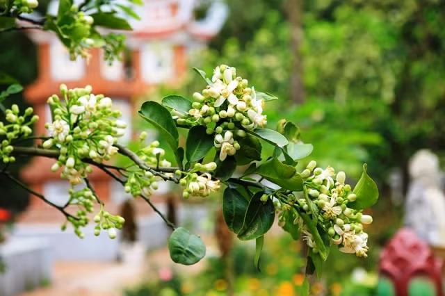 Ảnh minh họa ITN.