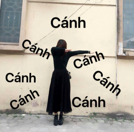 Cô gái dở khóc dở cười khi nhờ dân mạng Co gai do khoc do cuoi khi nho dan mang