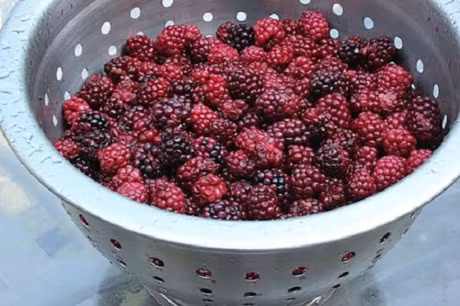 De ngam siro dau tam ngon khong the bo qua nhung luu y nay - Anh 5