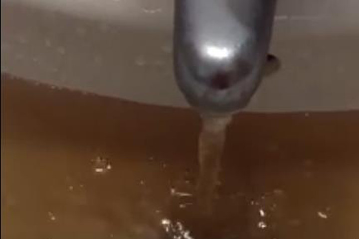 Hà Nội: Hãi hùng nước sạch có giun, bọ bơi tung tăng