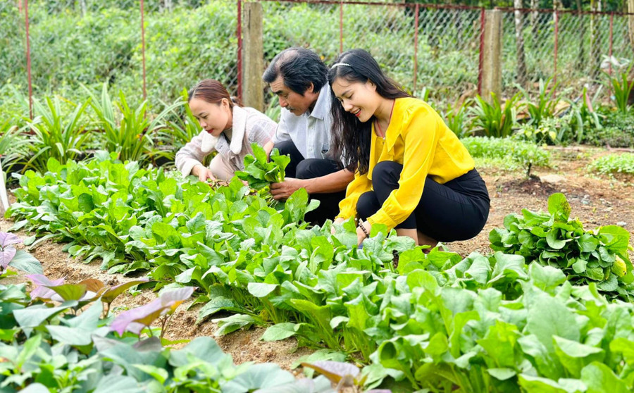 Vườn rau tăng gia của Công đoàn Trường Phổ thông Dân tộc Bán trú Tiểu học Trà Tập. Ảnh: NTCC