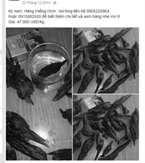 Quý ông đua nhau hít trầm hương mong cải thiện... bản lĩnh phòng the - Ảnh 1 Quý ông đua nhau hít trầm hương mong cải thiện... bản lĩnh phòng the - Ảnh 1