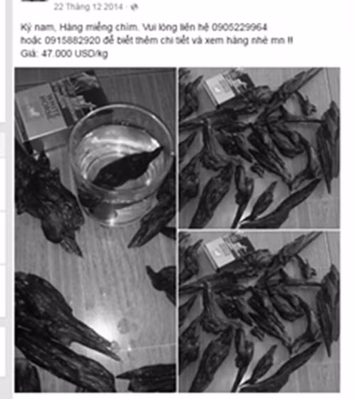 Quý ông đua nhau hít trầm hương mong cải thiện... bản lĩnh phòng the - Ảnh 1 Quý ông đua nhau hít trầm hương mong cải thiện... bản lĩnh phòng the - Ảnh 1