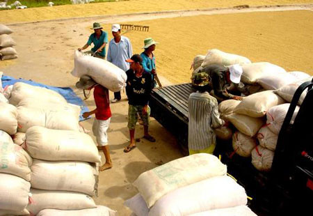 Tiếp tục hỗ trợ gạo cho 5 tỉnh