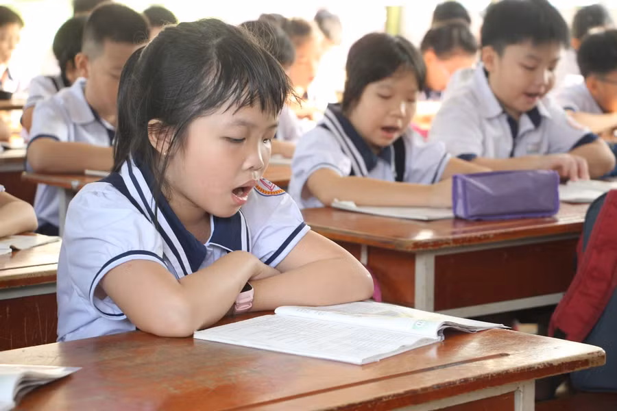 Bộ GD&ĐT đề nghị giữ nguyên mức học phí ở các cấp học năm học 2021-2022 ảnh 3