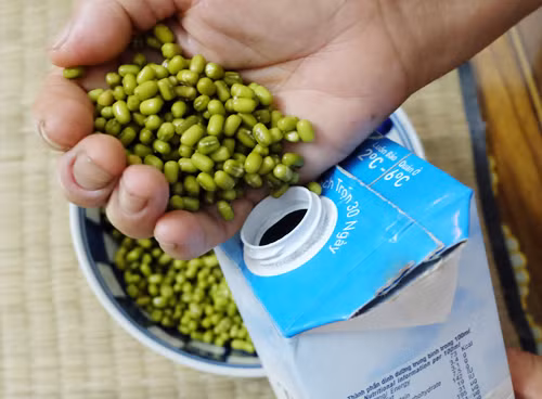 Làm giá ngon cực dễ từ vỏ hộp sữa - Ảnh 3