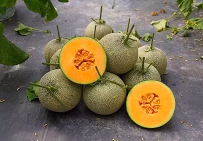 Cách trồng dưa hấu, dưa lê và dưa lưới tại nhà - Ảnh 7