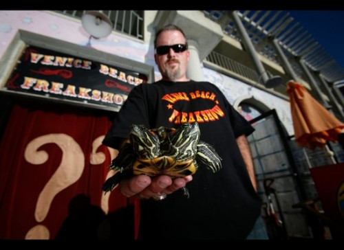 Kỳ dị những loài hai đầu hiếm có trên thế giới - Ảnh 7