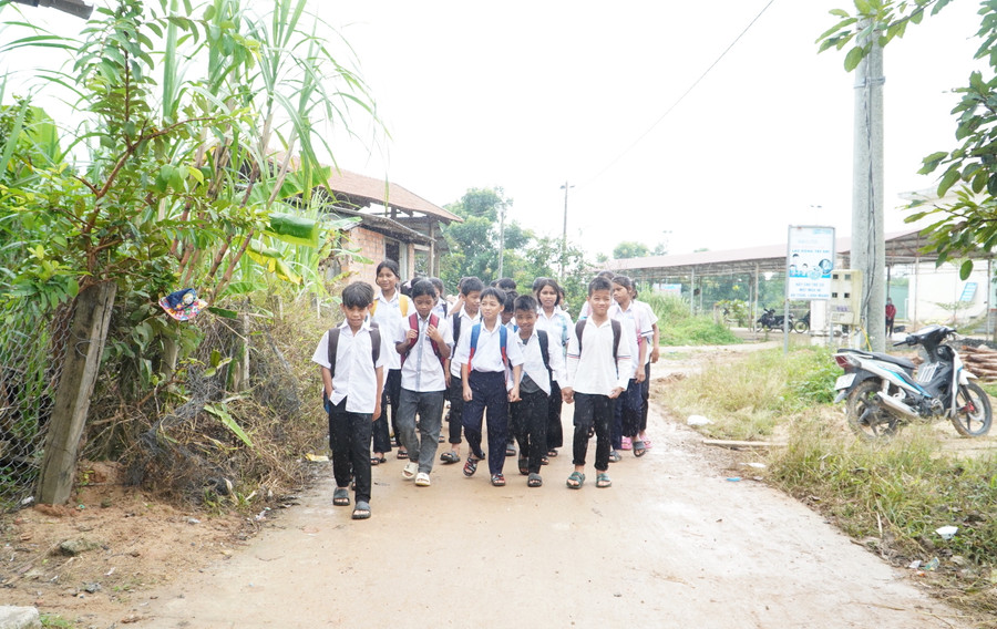 Những hôm cha mẹ bận lên nương không đón được lũ trẻ rủ nhau đi bộ về nhà.