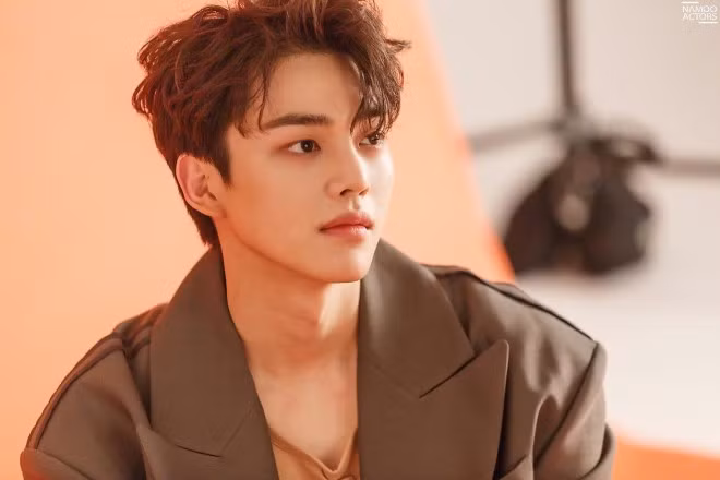 Những nam diễn viên trẻ Hàn Quốc khiến trái tim bạn tan chảy ảnh 1