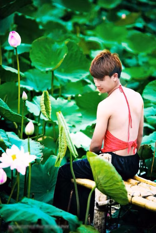 Hình ảnh xấu xí ở đầm sen ảnh 5