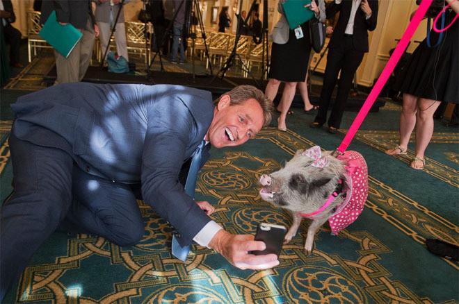 Khoảnh khắc ngộ nghĩnh của chính trị gia và các con vật ảnh 1