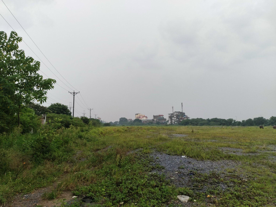 Mảnh đất nông nghiệp được thu gom mua trái quy định của pháp luật