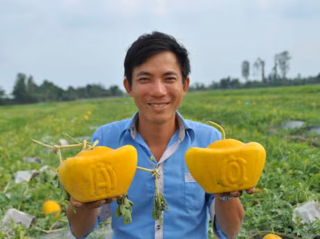 Dua ho lo vang ruc phuc vu 