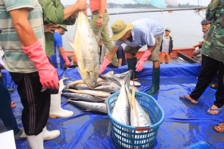 Trung me ca lich su, tri gia khoang 5 ty dong - Anh 3