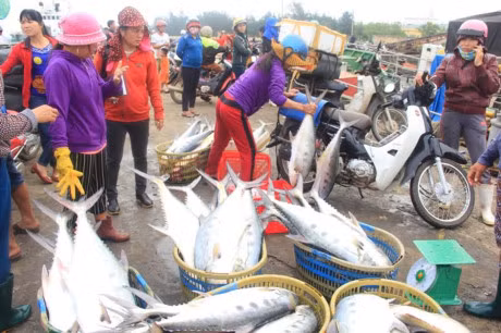 Trung me ca lich su, tri gia khoang 5 ty dong - Anh 1