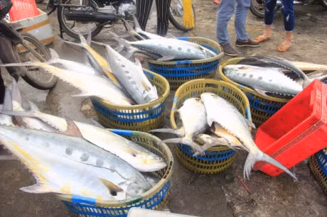 Trung me ca lich su, tri gia khoang 5 ty dong - Anh 2