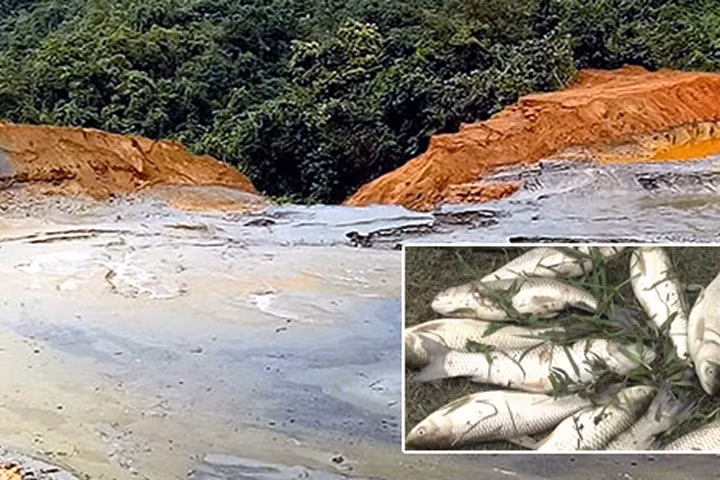 Bùn thải quặng tràn ra ngoài sau sự cố vỡ đập khiến cá chết hàng loạt