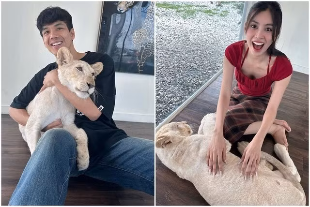 Hoa hậu Tiểu Vy vướng vào nghi vấn hẹn hò với nam diễn viên Nicky Nachat người Thái Lan.