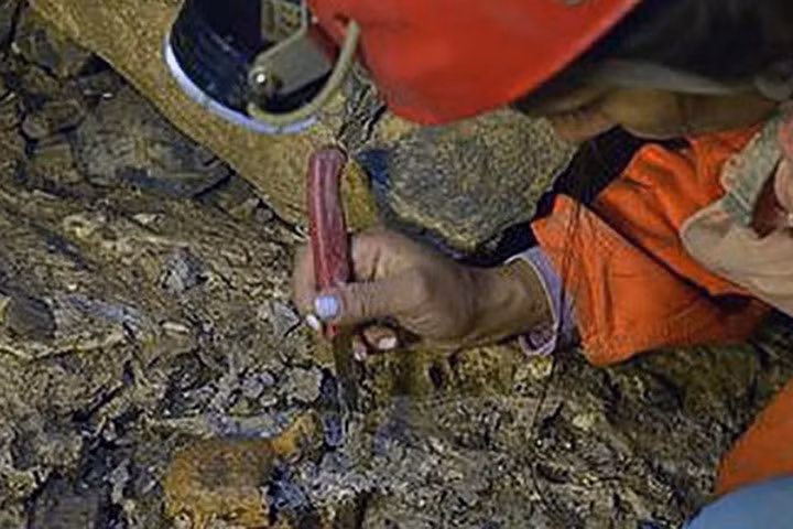 Colombia phát hiện kho tàng cổ sinh vật học 5 triệu năm tuổi