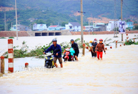 Dân sợ băng dòng lũ ngập nửa mét, xe tải kiếm tiền triệu mỗi ngày - Ảnh 8 Dan so bang dong lu ngap nua met, xe tai kiem tien trieu moi ngay - Anh 8