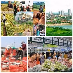 Một số văn bản chỉ đạo, điều hành của Chính phủ, Thủ tướng Chính phủ trong tháng 10/2016