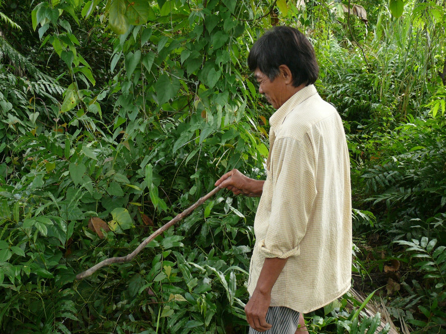 Bụi rậm, nơi phát hiện bé trai sơ sinh