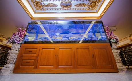 Choáng ngợp với dinh thự dát vàng triệu đô của 3 mỹ nhân độc thân giàu có - Ảnh 4 Choang ngop voi dinh thu dat vang trieu do cua 3 my nhan doc than giau co - Anh 4