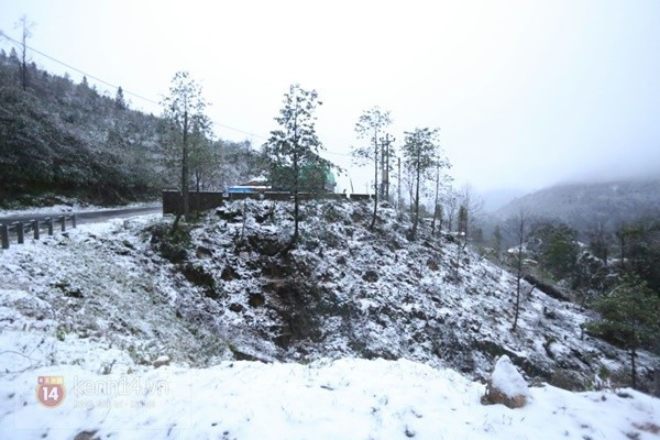 Tuyết đã phủ trắng nhiều nơi ở Sa Pa khiến không ít người vội vã thu xếp hành lý lên đường.

