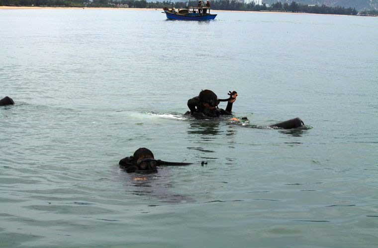 Khám phá Đặc công Việt Nam ảnh 10