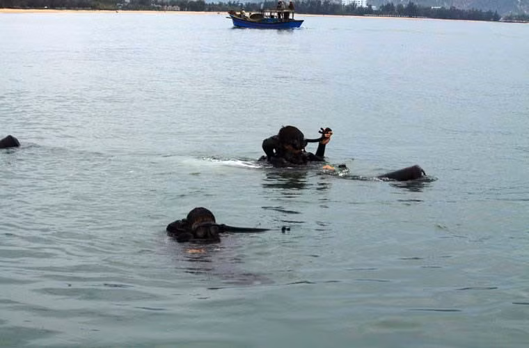 Khám phá Đặc công Việt Nam ảnh 10