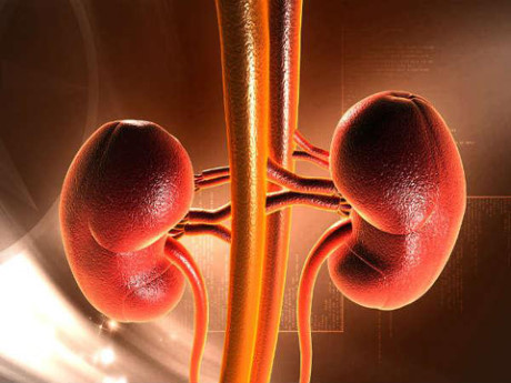 Bạn có biết cách dùng dầu dừa giải độc tố cho miệng? - Ảnh 1 Ban co biet cach dung dau dua giai doc to cho mieng? - Anh 1