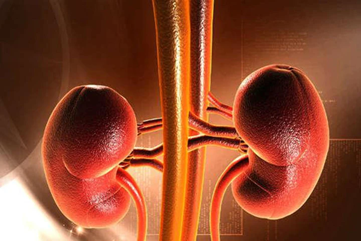 Bạn có biết cách dùng dầu dừa giải độc tố cho miệng?