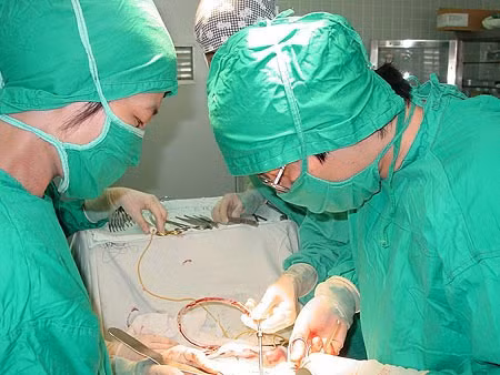 Ảnh có tính chất minh hoạ/Internet