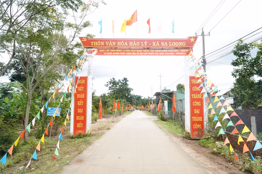 Đường làng, ngõ xóm thôn Hào Lý rực rỡ cờ đỏ sao vàng, chào mừng Ngày Quốc khánh 2/9.