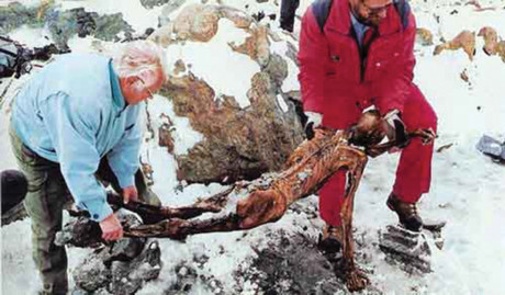 Người băng Otzi và những phát hiện mới có ích cho y học - Ảnh 2 Nguoi bang Otzi va nhung phat hien moi co ich cho y hoc - Anh 2