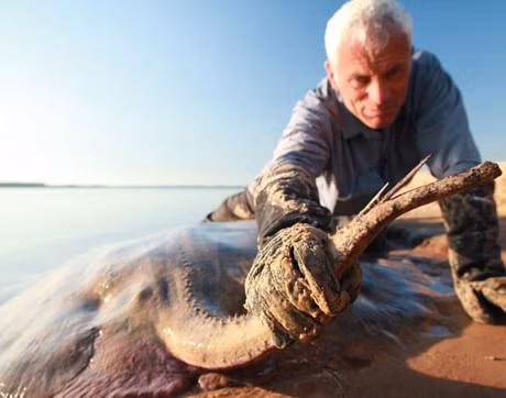Ca khung mac cau (ky 4): Tom gon ca duoi gai doc nang 115kg - Anh 2