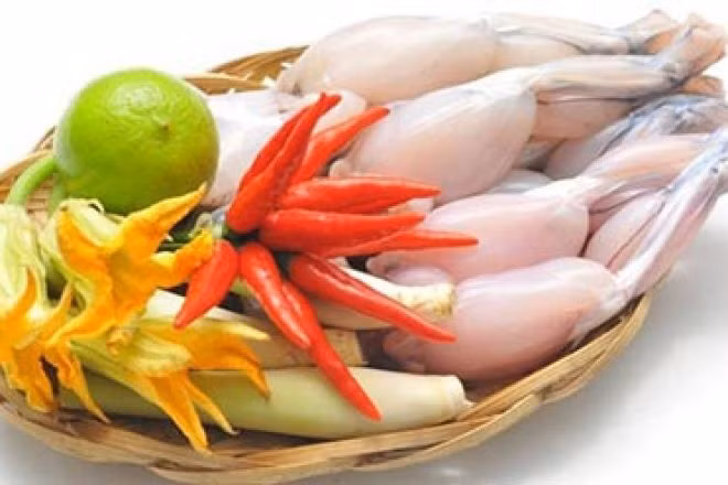 Các chuyên gia cảnh báo, không nấu hay ăn chung thịt cóc với hành tây vì 2 loại thực phẩm này khi kết hợp với nhau sẽ sinh độc và gây hại cho sức khỏe.