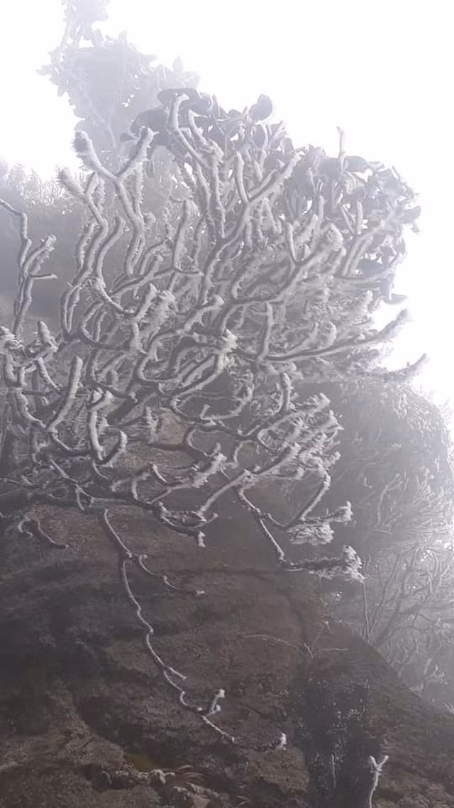 Băng tuyết phủ trắng Nóc nhà Việt Nam Fansipan - 6