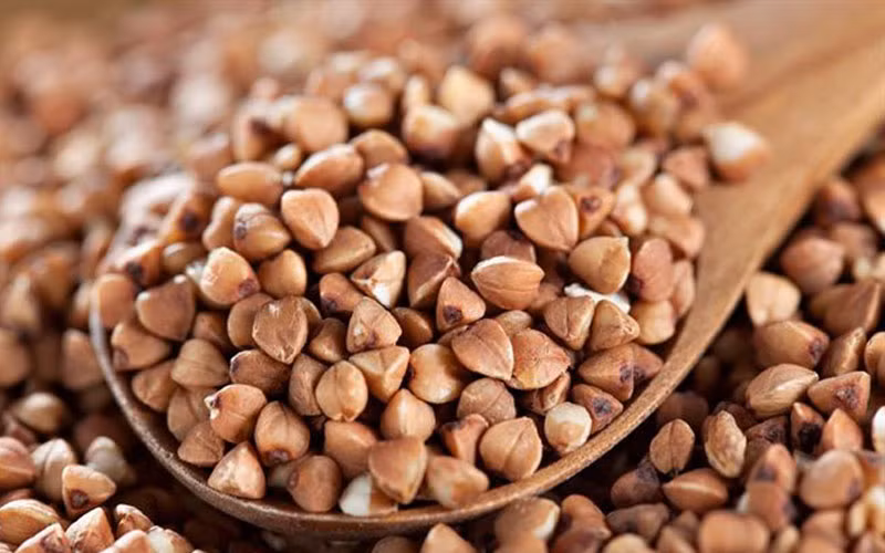 Kiều mạch có khả năng chống được bệnh ung thư.