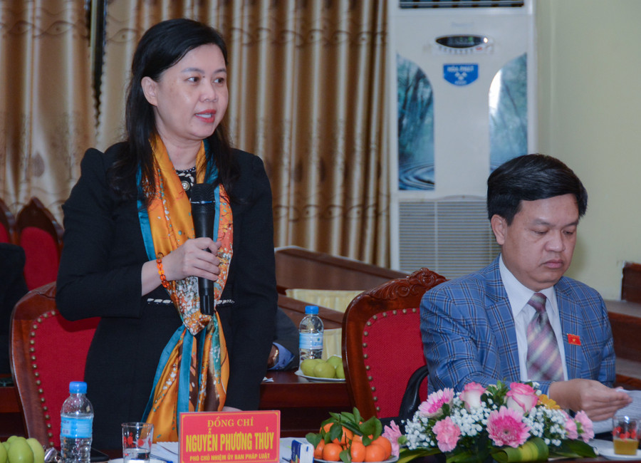 ĐBQH, thành viên đoàn giám sát phát biểu ý kiến.