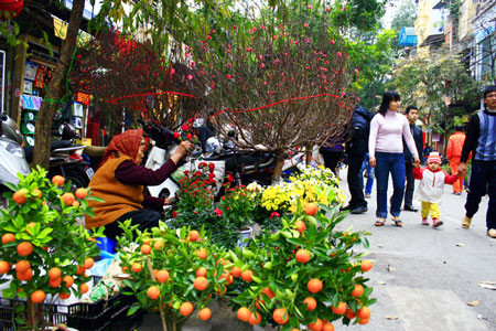 Tết này Bắc bộ mưa rét
