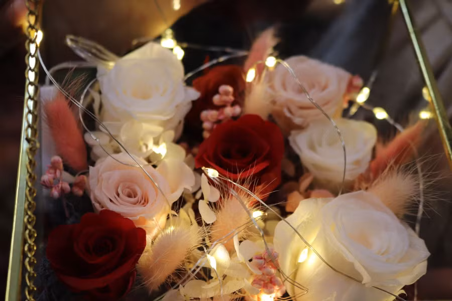 Hoa hồng bất tử là hoa tươi 100%, được xử lý công nghệ của Nhật Bản có thể trưng bày thời gian dài.