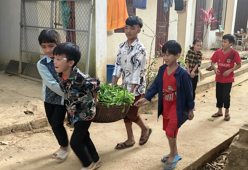 Học sinh mang rau đi nhập cho nhà bếp của trường. Học sinh mang rau đi nhập cho nhà bếp của trường.