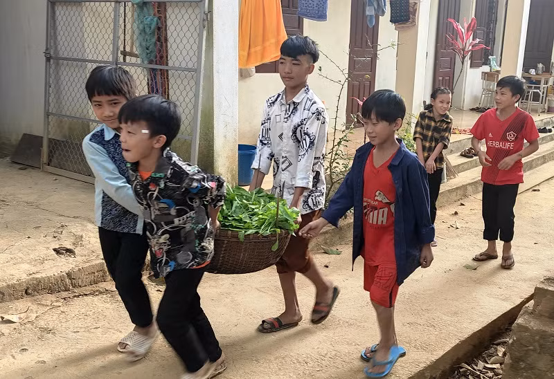Học sinh mang rau đi nhập cho nhà bếp của trường.